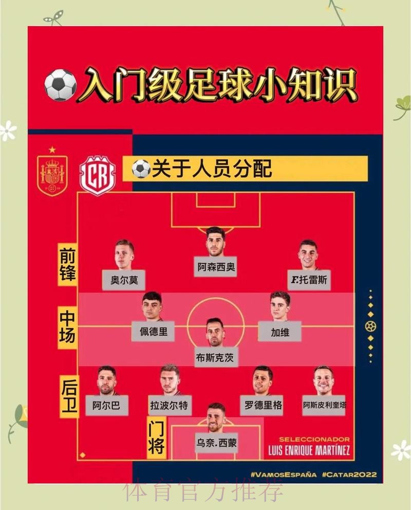 全面解析世界杯外围网页版的操作指南